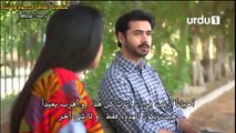 مسلسل باكستاني من انت يا حبيبي الحلقه السابعه عشر