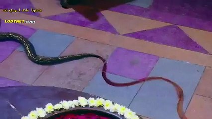 مسلسل هندي ارامب الحلقه ١٦