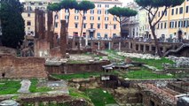 Curious Cat Sitting Amid Roman Ruins Spotted On Google Street View