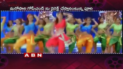 Puri Jagannath Likely to work with GopiChand Again