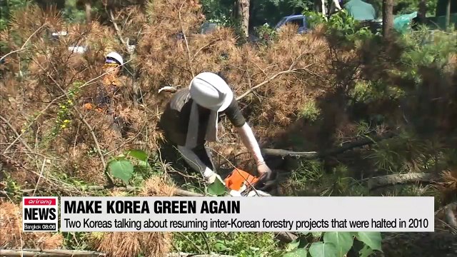 Inter-Korean efforts to make Koreas green again