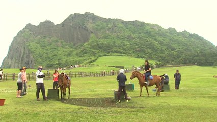 제주도, 관광객에 환경기여금 부과 추진...2020년 시행 예정 / YTN