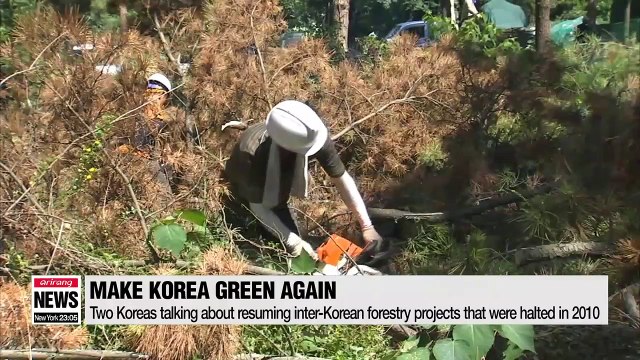 Inter-Korean efforts to make Koreas green again