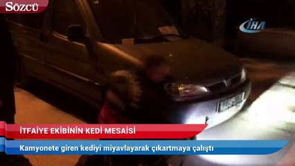 Kamyonete giren kediyi miyavlayarak çıkartmaya çalıştı