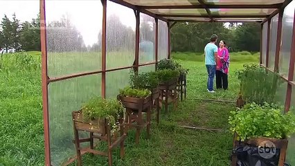 Um Caminho Para o Destino - Capítulo 141