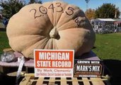 Man Shows Off His 2,403.5-Pound Pumpkin