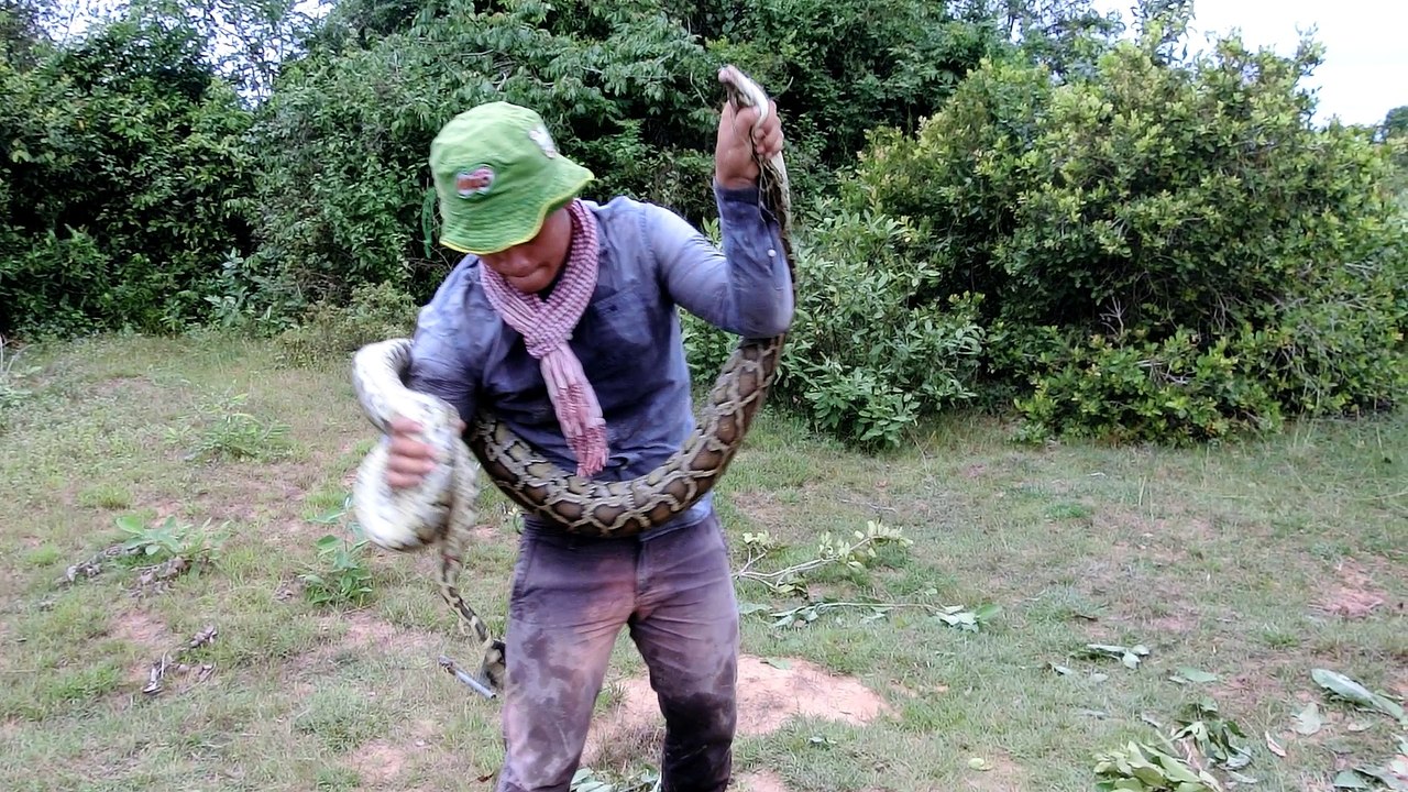 A man caught a Big Snake