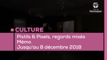Expo Pistils et Pixels
