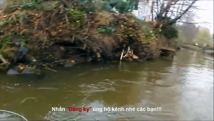 Electric fishing salmon - hit the right fish.