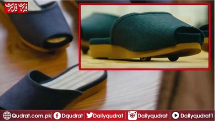 Self-proprietary slippers