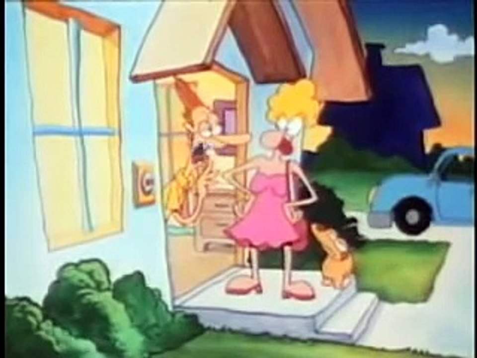 What a cartoon! The Kitchen Casanova