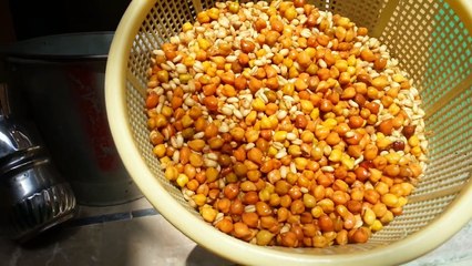 love birds and cocktiel parrot soft food