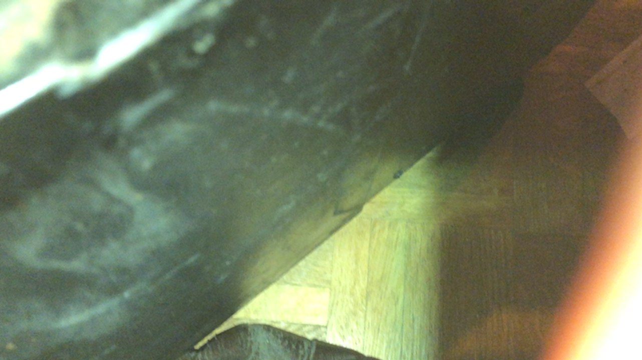 Ensemble Obsidienne : un concert pour les élèves