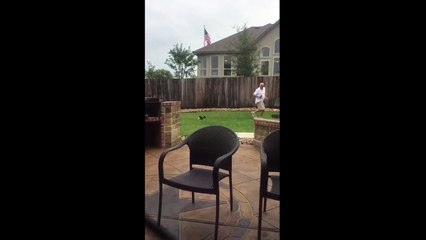 Dad playing with his new puppy is the most wholesome thing you’ll watch