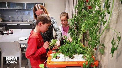 Cette jardinière fait pousser les plantes grâce aux ultra-sons