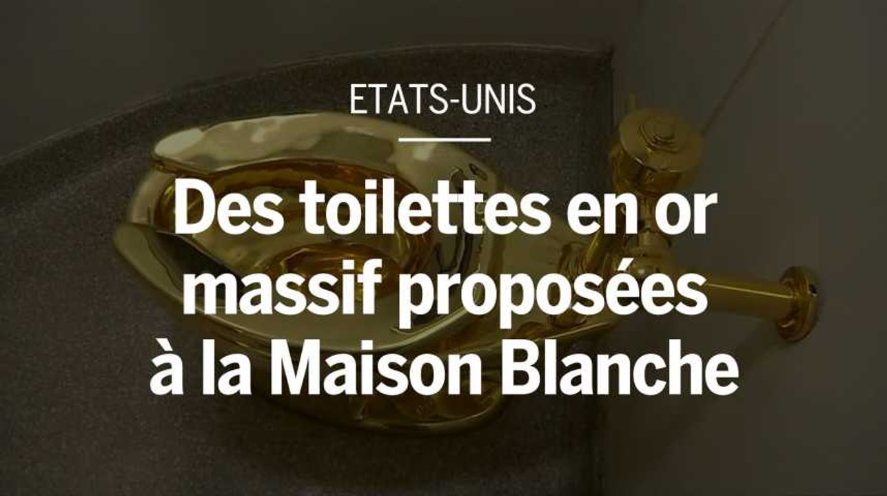 La Maison Blanche souhaite un Van Gogh, un musée lui propose des toilettes en or
