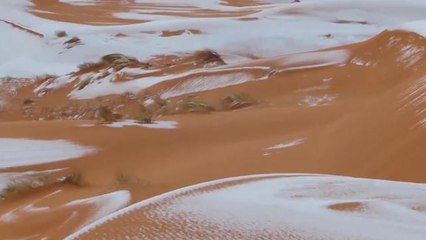 De la neige dans le desert du Sahara...pas si surprenant !