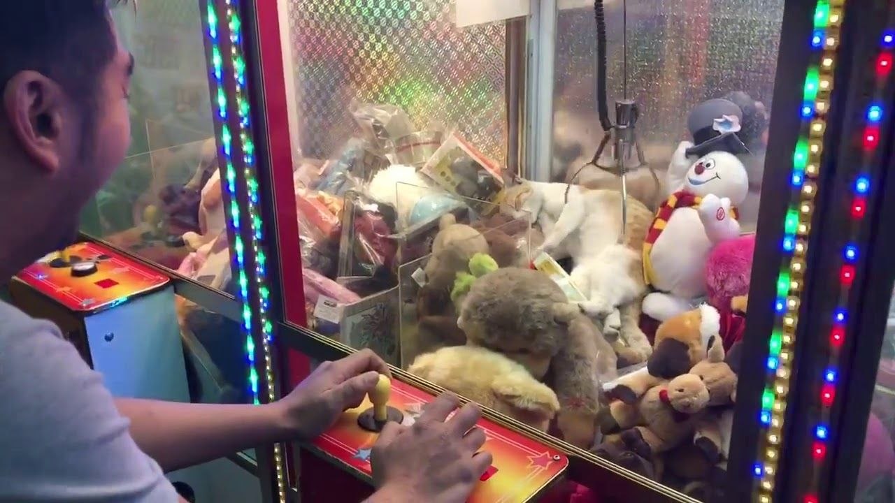 Un chat dans une machine à pince
