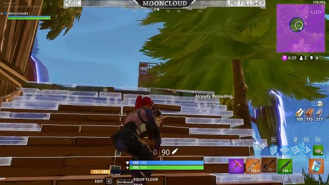 Fortnite #0501: It's a Bird...It's a Plane... It's Victory!