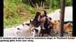 Stray Dog Thanks the Woman Who Feeds Him Every Day by Bringing Her Gifts