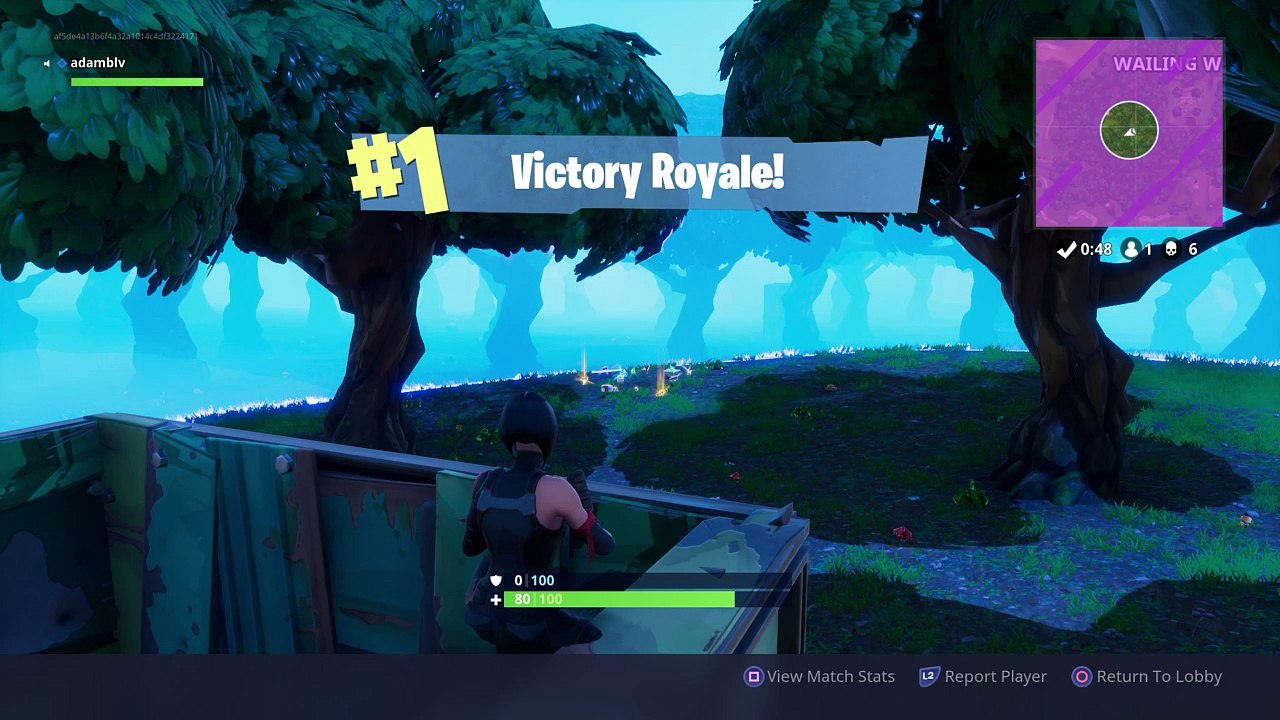 Fortnite_20180126121809