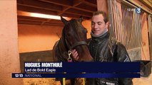 Course hippique : à la rencontre du favori du Grand Prix d'Amérique