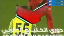 Berg M. Goal HD - Shabab Al-Ahli Dubai	0-1	Al Ain 26.01.2018