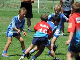 Les PITCHOUNS....