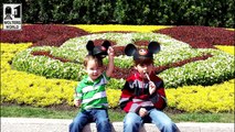 Visit Disney World - 5 Things You Will Love & Hate about The Magic Kingdom