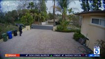 Chilling Home Surveillance Video Captures Alleged Prowlers in California Neighborhood