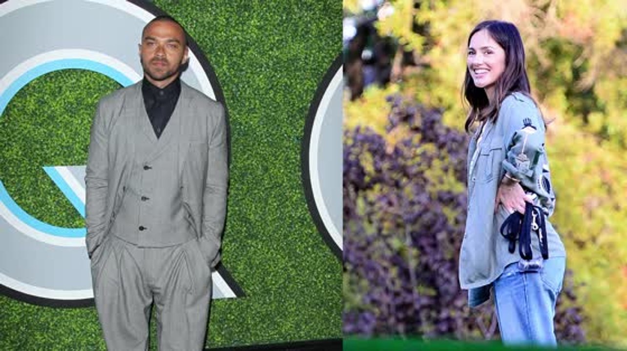 Jesse Williams and Minka Kelly Split