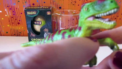 Download Video: Huevo de dinosaurio en ZUMO DE TOMATE | Experimentos caseros con juguetes de dinosaurios para niños