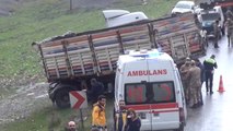Cizre-Şırnak Karayolundaki Trafik Kazasında Ölü Sayısı 4'e Yükseldi