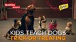 Kids Teach Dogs Trick-Or-Treating // Presented By BuzzFeed & Beggin' Strips