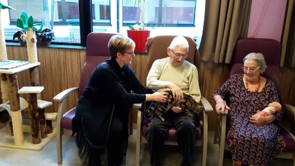 Un chat pour soigner des résidents du home "L'Arbre de vie" à Quaregnon