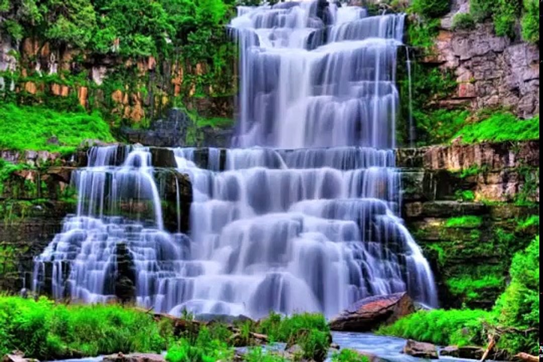 Suara Merdu IMAM Membaca Ayat Suci Al Quran Bikin Menangis Mendengarnya