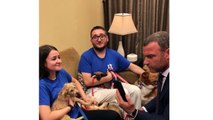 Liev Schreiber Adopts Rescue Puppies from Texas at LIVE