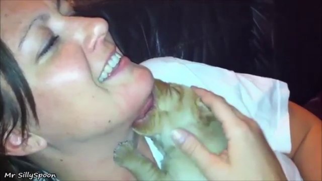 Cute Pets Most Adorable Pets - Too Cute!
