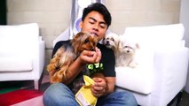 EATING PUPPY SNACKS WITH PUPPIES CHALLENGE!