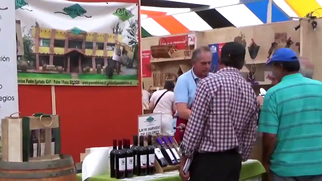 Kunsthandwerk und Souvenirs aus Chile