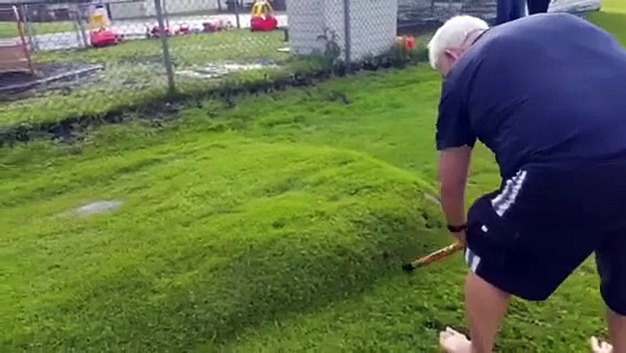 Il se demandait ce qu'était cette bosse sur son gazon : bulle d'eau sous la pelouse