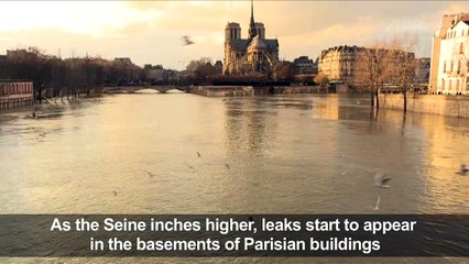 Paris: sunset images of flooding near Notre-Dame
