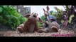 PETER RABBIT Extended Clip - Three-Card Monte