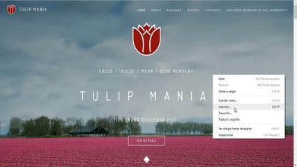 Plataforma de Tulip mania te regala 10 tokens