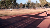 Retriever Training lining Baseball drills (Part 3)