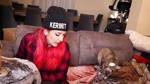 Reading Mean Comments About My Dogs 2