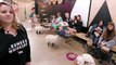 People Who Hate Cats Work In A Cat Cafe // Presented By BuzzFeed & Rachael Ray Nutrish