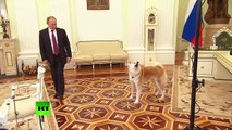 'She is being a guard dog' - Putin jokes as his pet barks at Japanese journalists