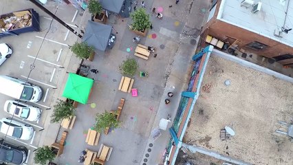 Dr. Matt and Dr. Karri Team Up to Help Homeless Pets