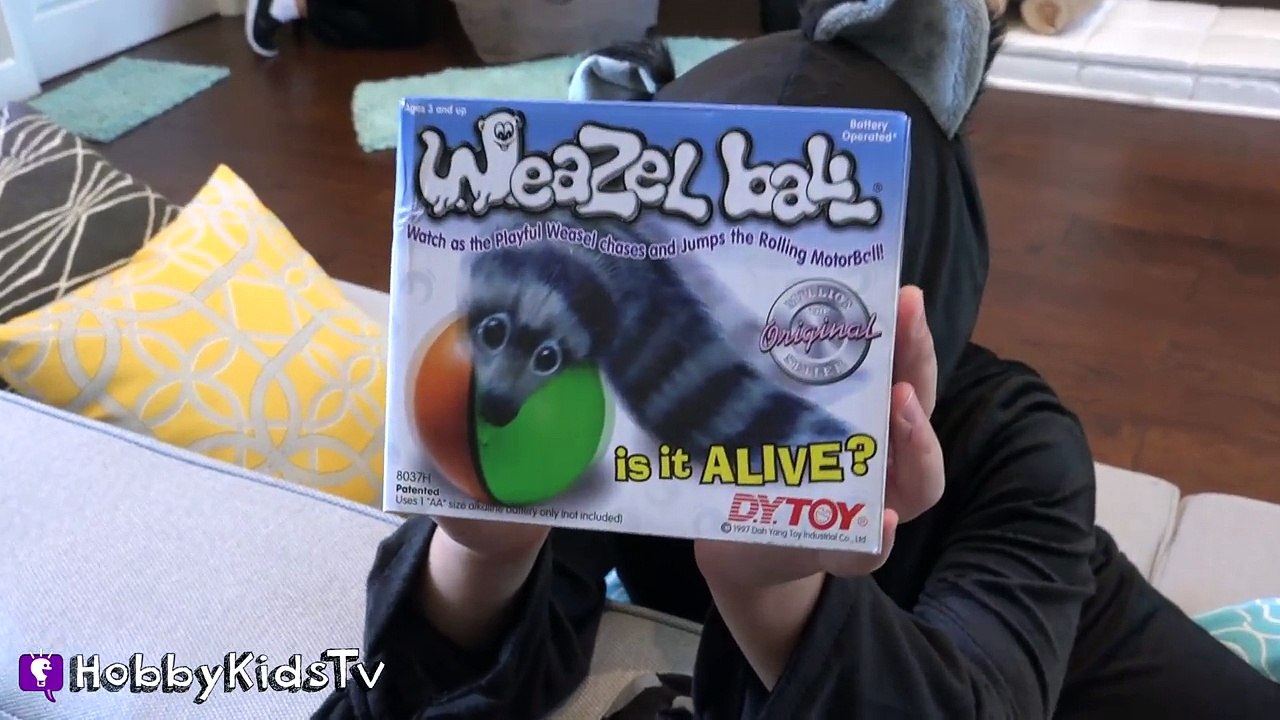 Giant PETS Surprise Egg with Toys From The Movie by HobbyKidsTV
